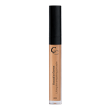 Conceal to Correct Concealer Shade 205